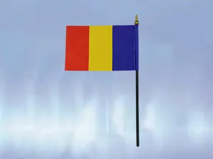Käsilippu ja tanko