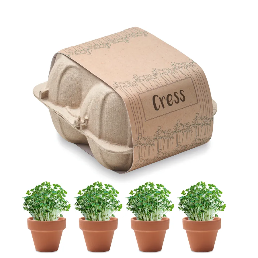 CRESS, Kasvatussetti munakennossa