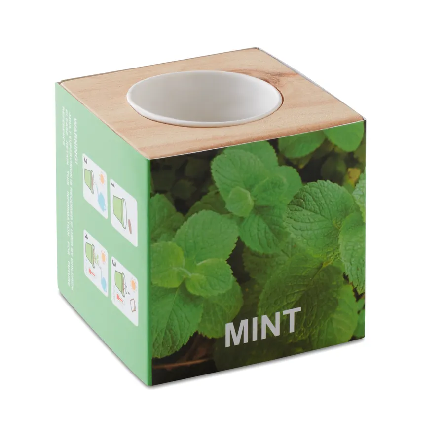 MENTA, Yrttiruukku puukotelossa