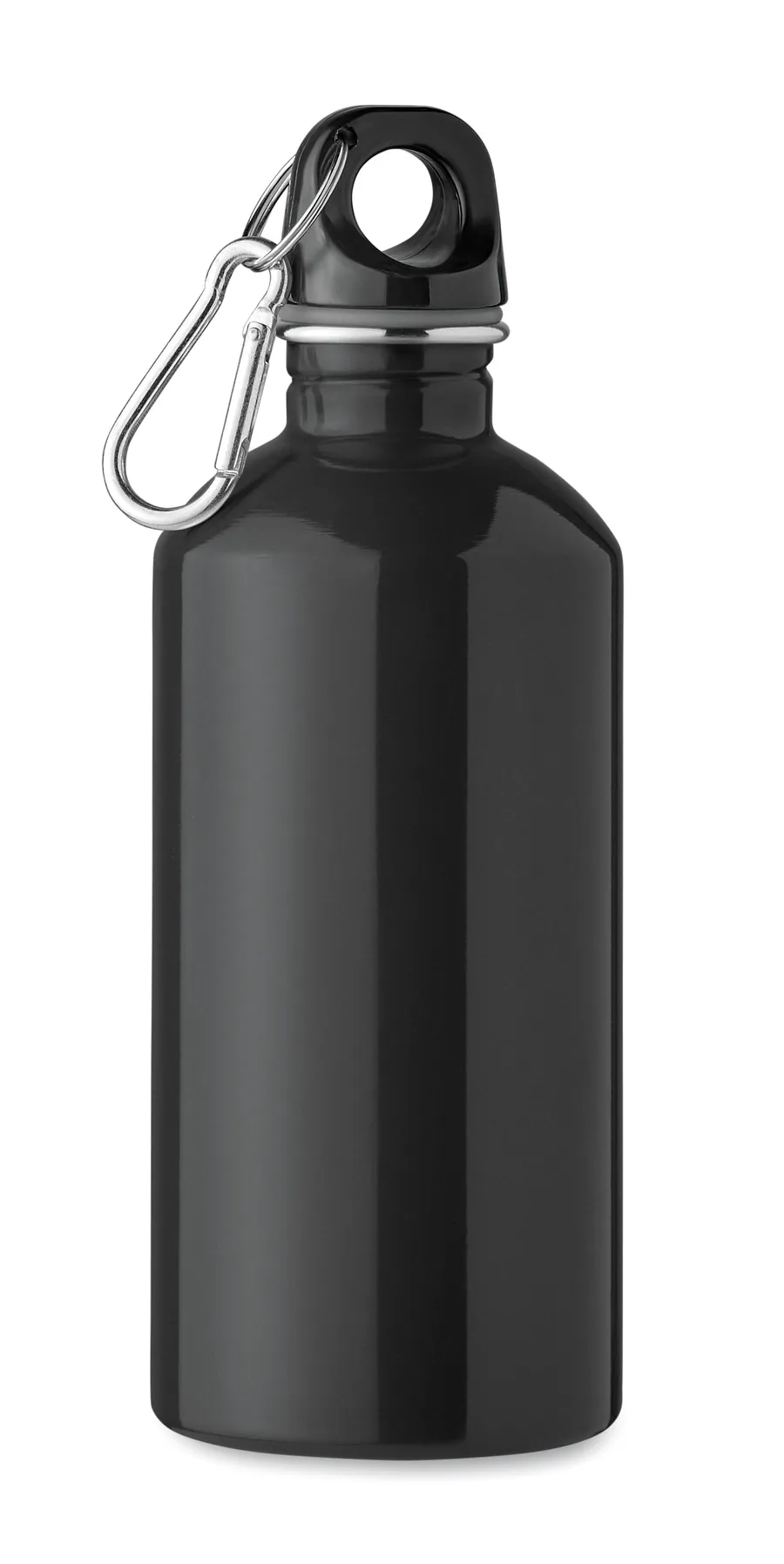 REMID MOSS, Yksiseinäinen pullo 500 ml