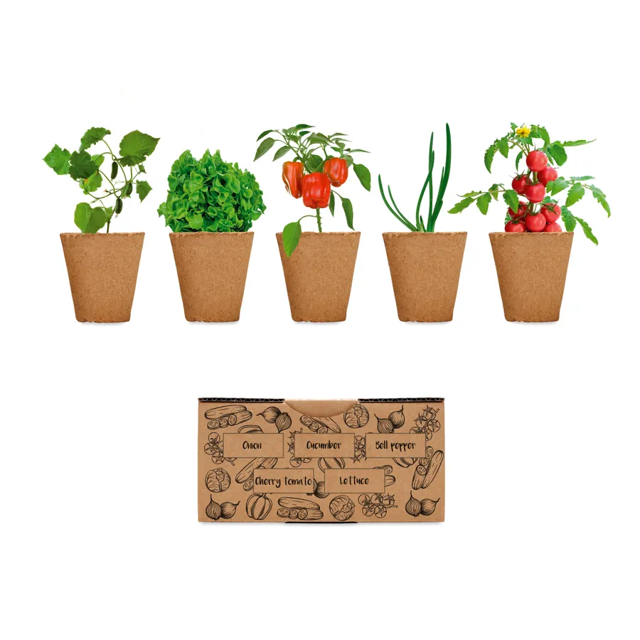 SALAD, Salad growing kit