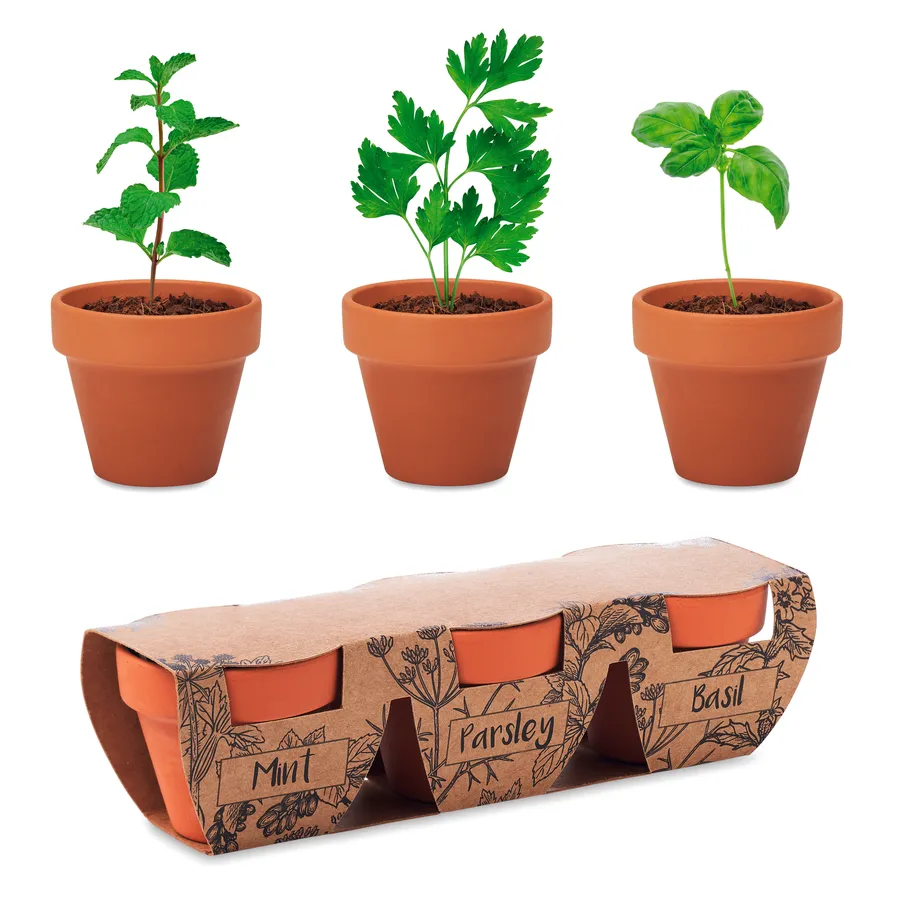 FLOWERPOT, Yrtti setti