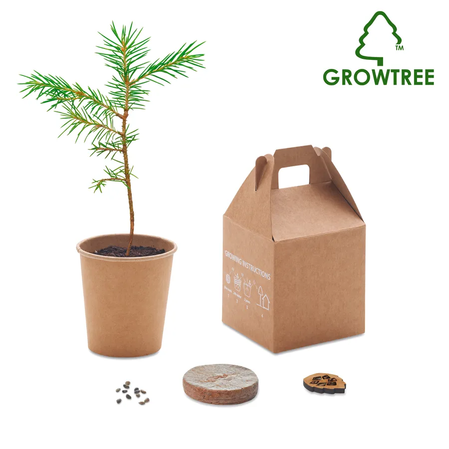 GROWTREE™, Pine tree set