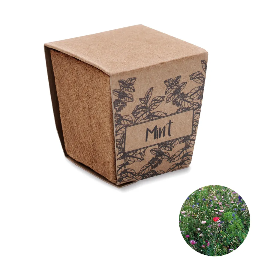MINT KIT, Minttu viljelypakkaus